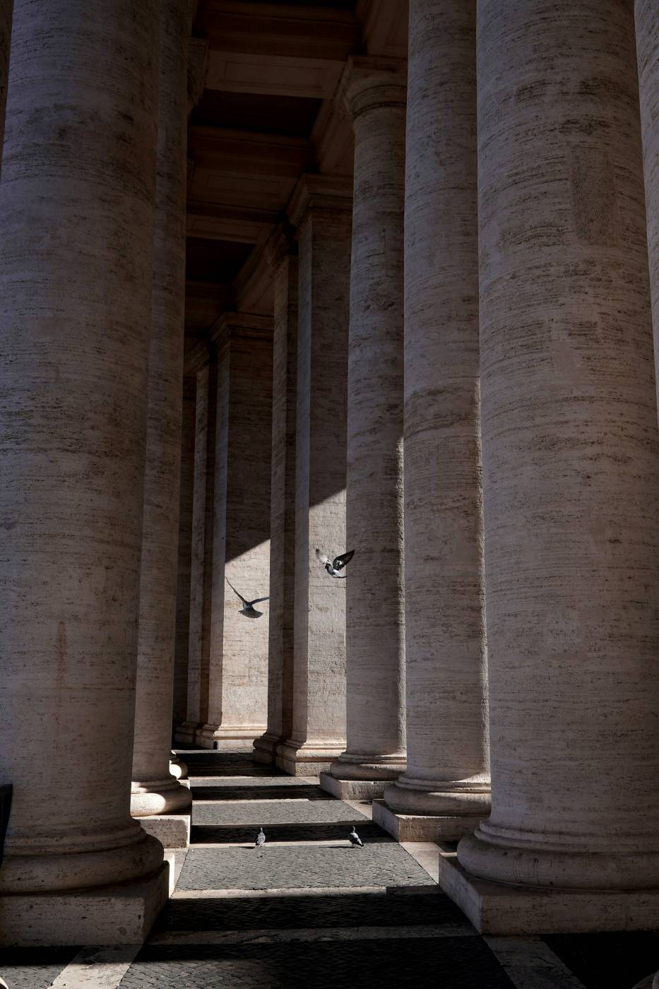 column a row of white pillars with a bird flying between them grey picture