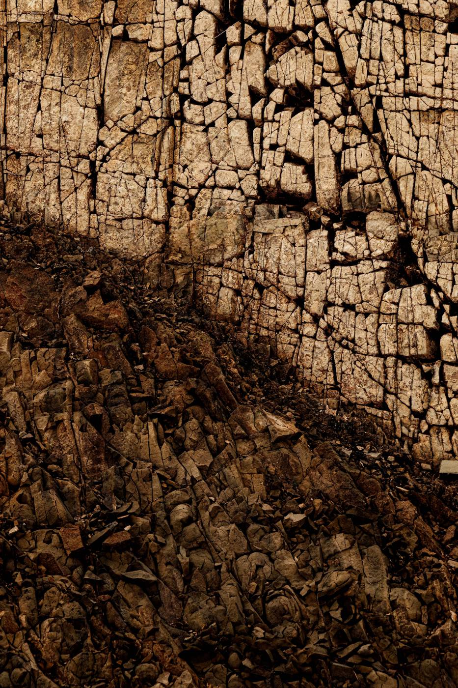 stone texture a sheep is standing in the dirt near a rock wall pattern picture