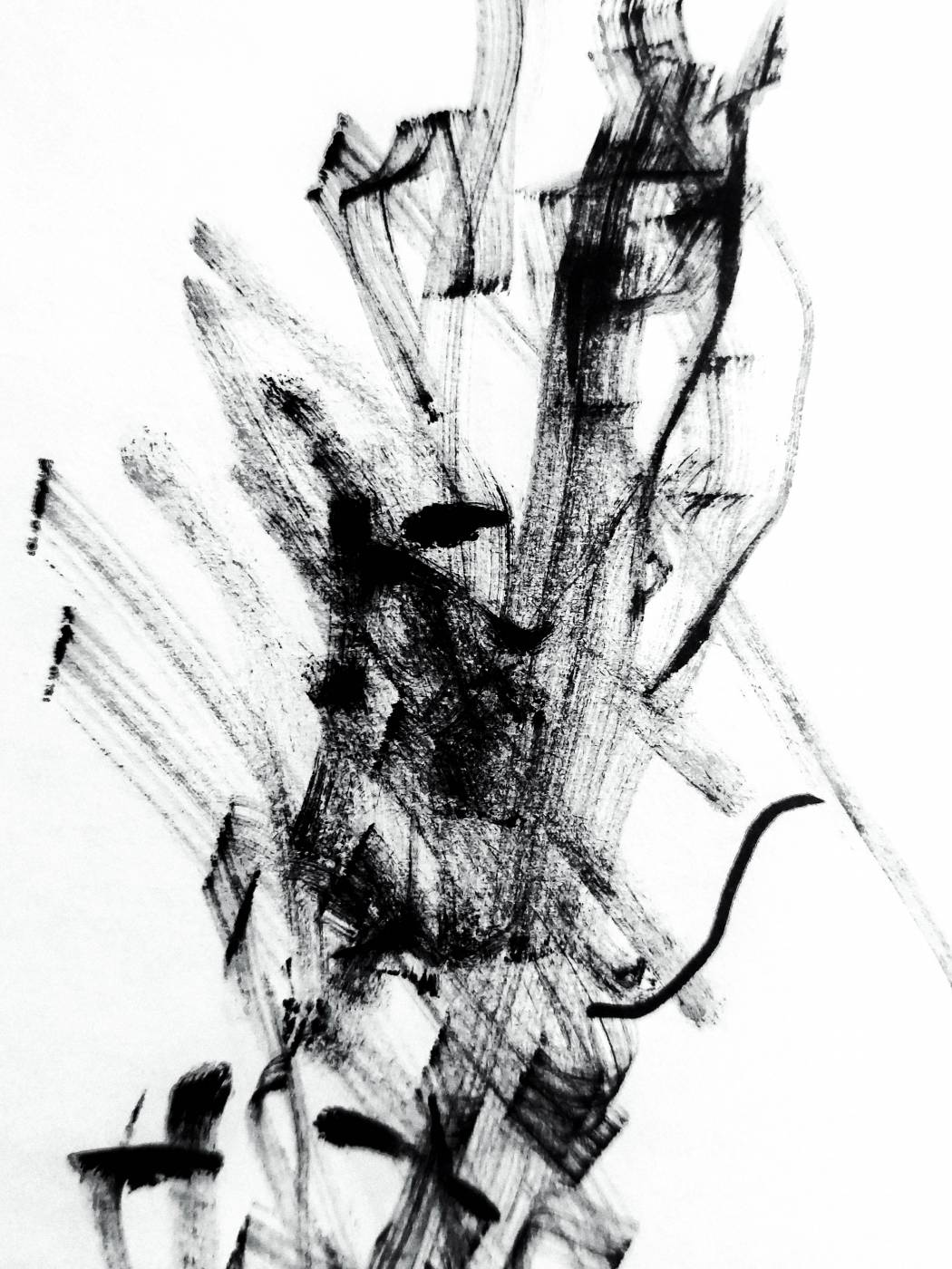  black and white decor  picture