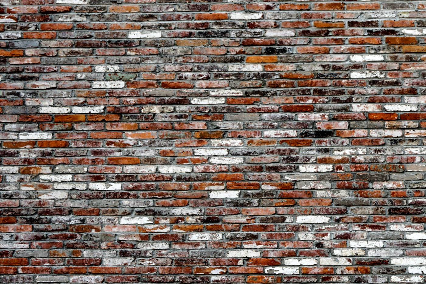  brown, white, and grey brick wall  picture