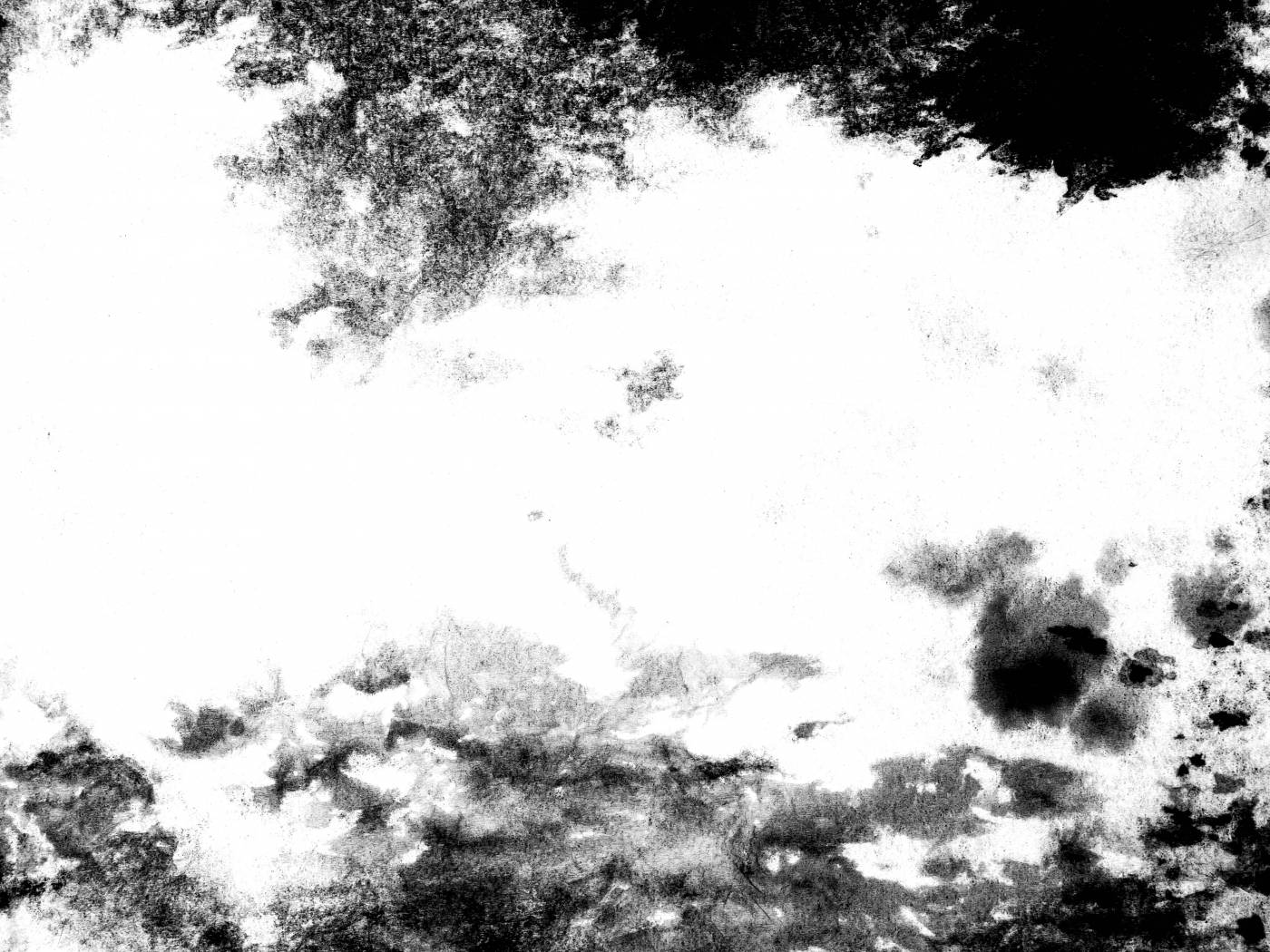  grayscale photo of trees under cloudy sky  picture