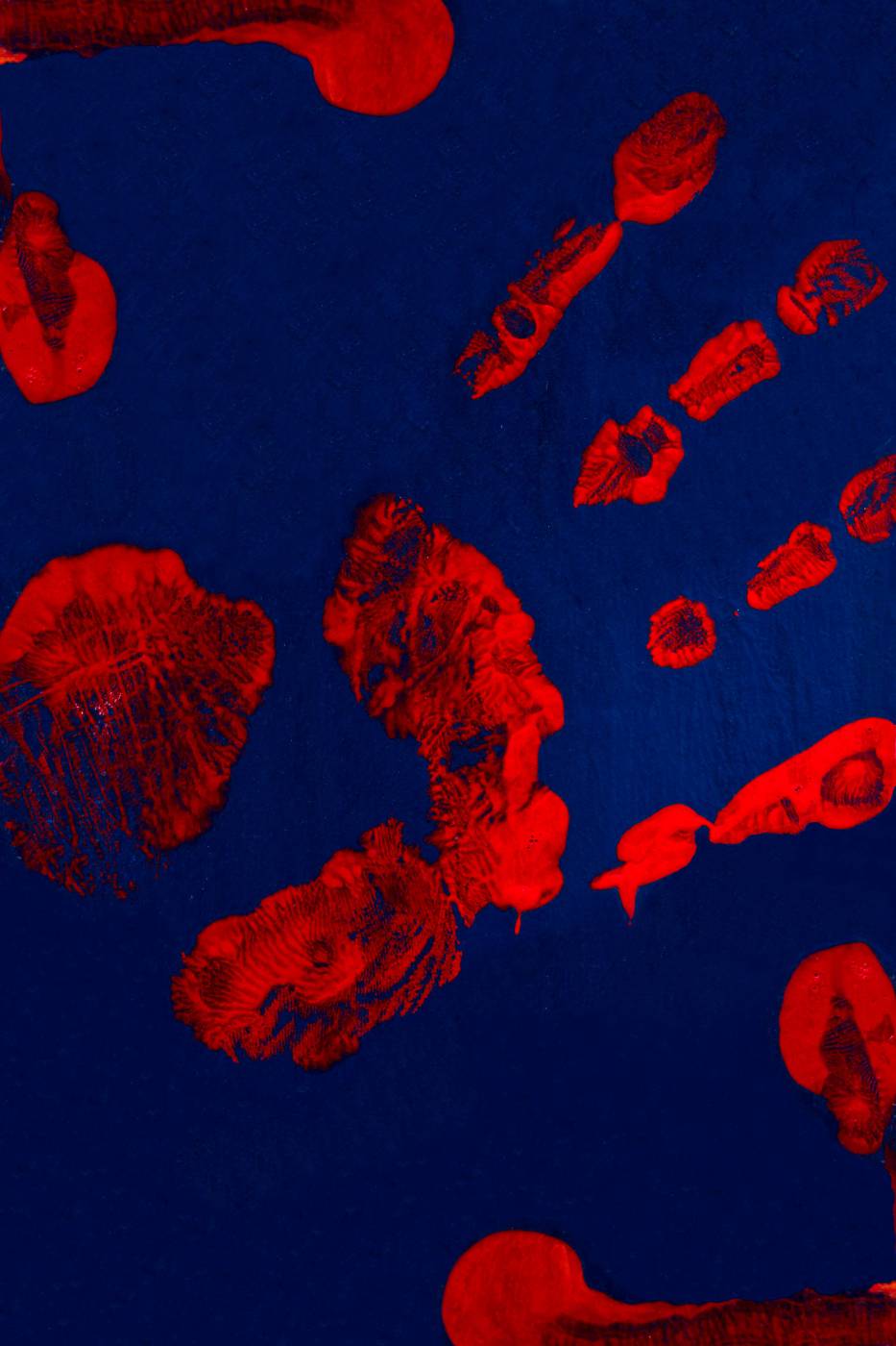  red and blue floral textile  picture