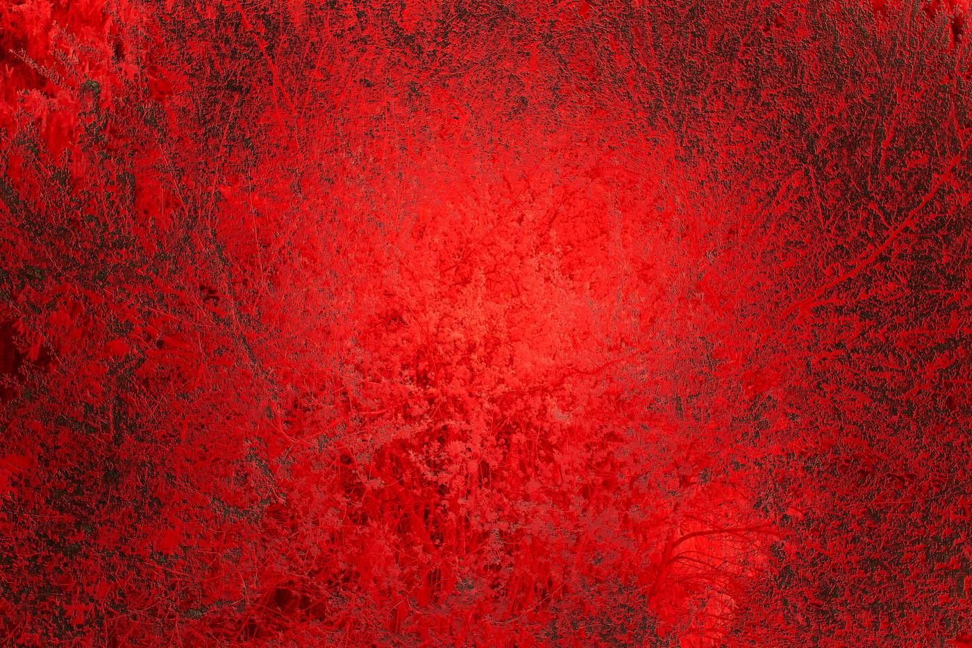  red textile with black hair  picture