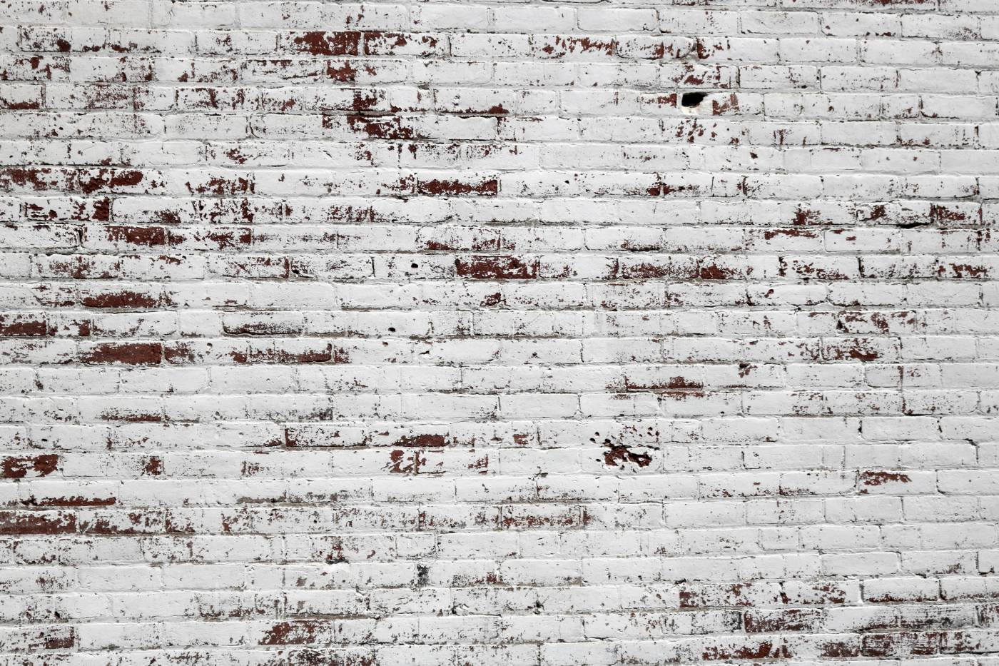  white and brown concrete brick wall  picture