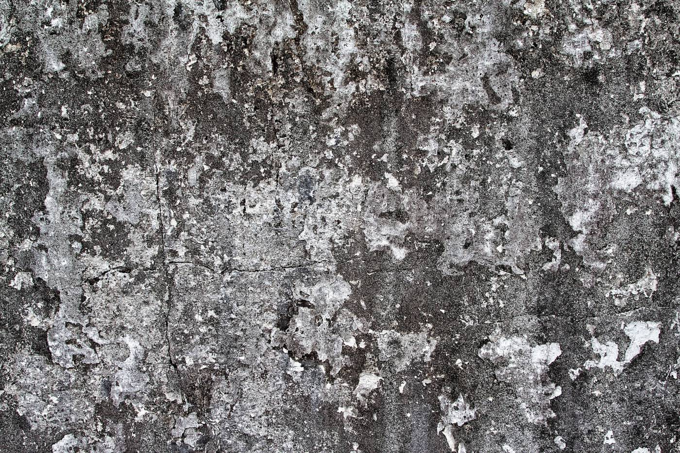  white and gray concrete wall  picture