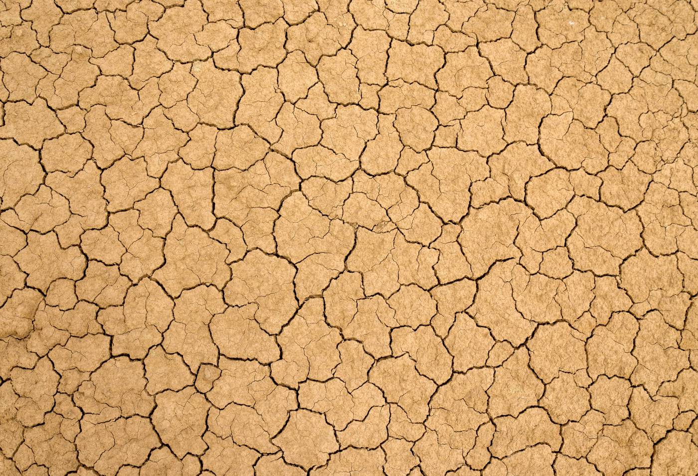 ??????? brown and black concrete floor ground picture