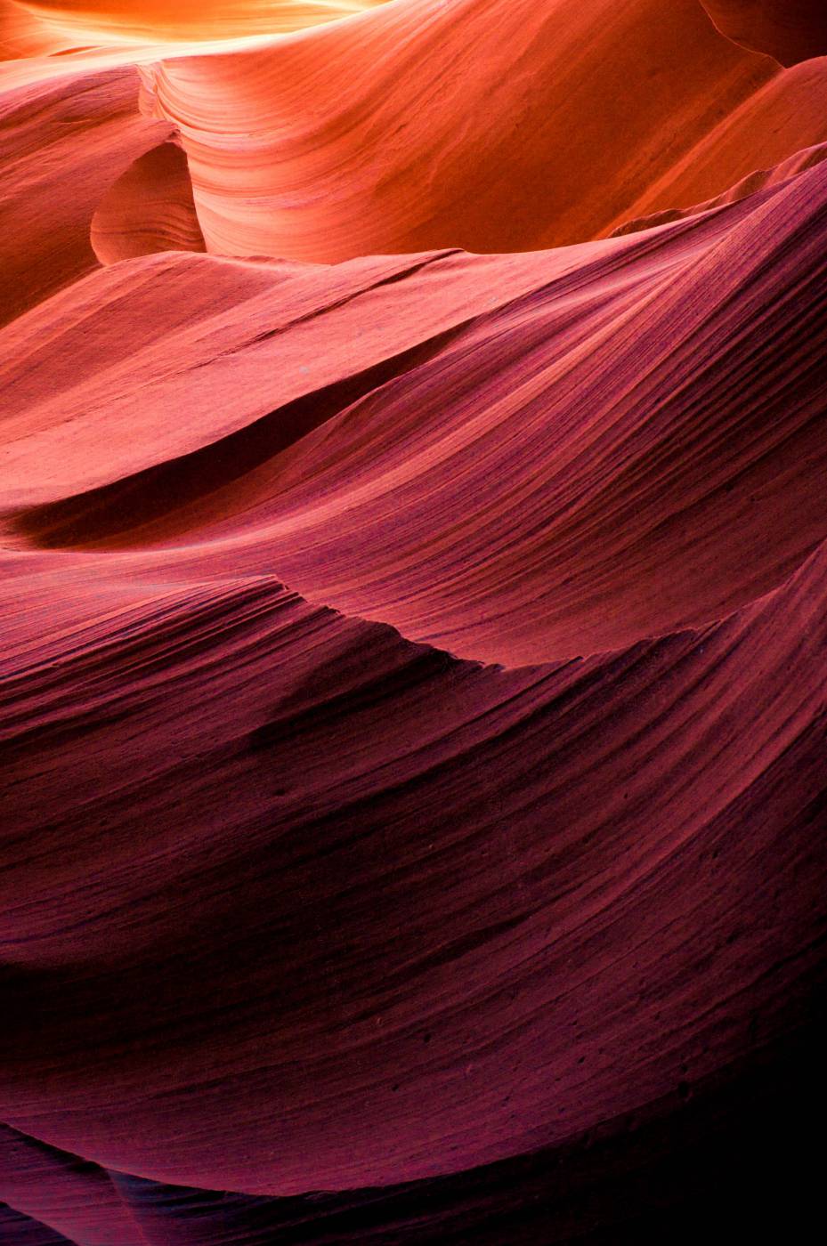  aerial photography of antelope  picture