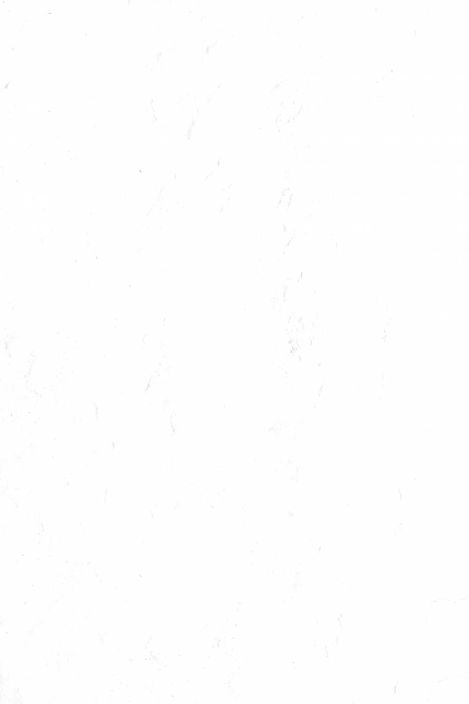 background  white picture