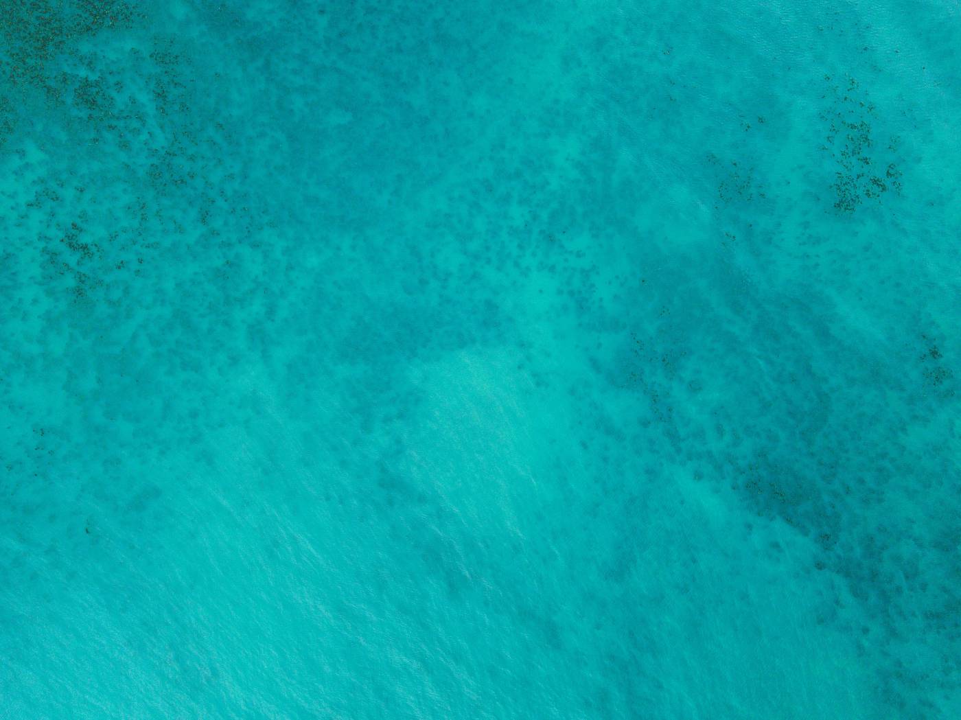 blue pattern picture