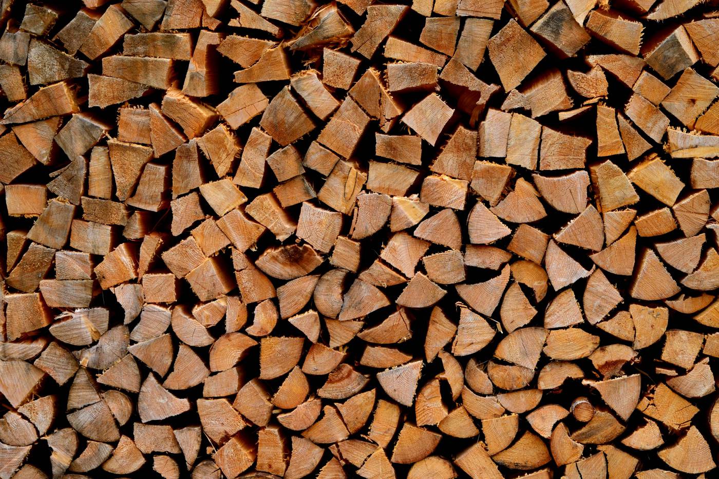  brown and black wooden logs  picture