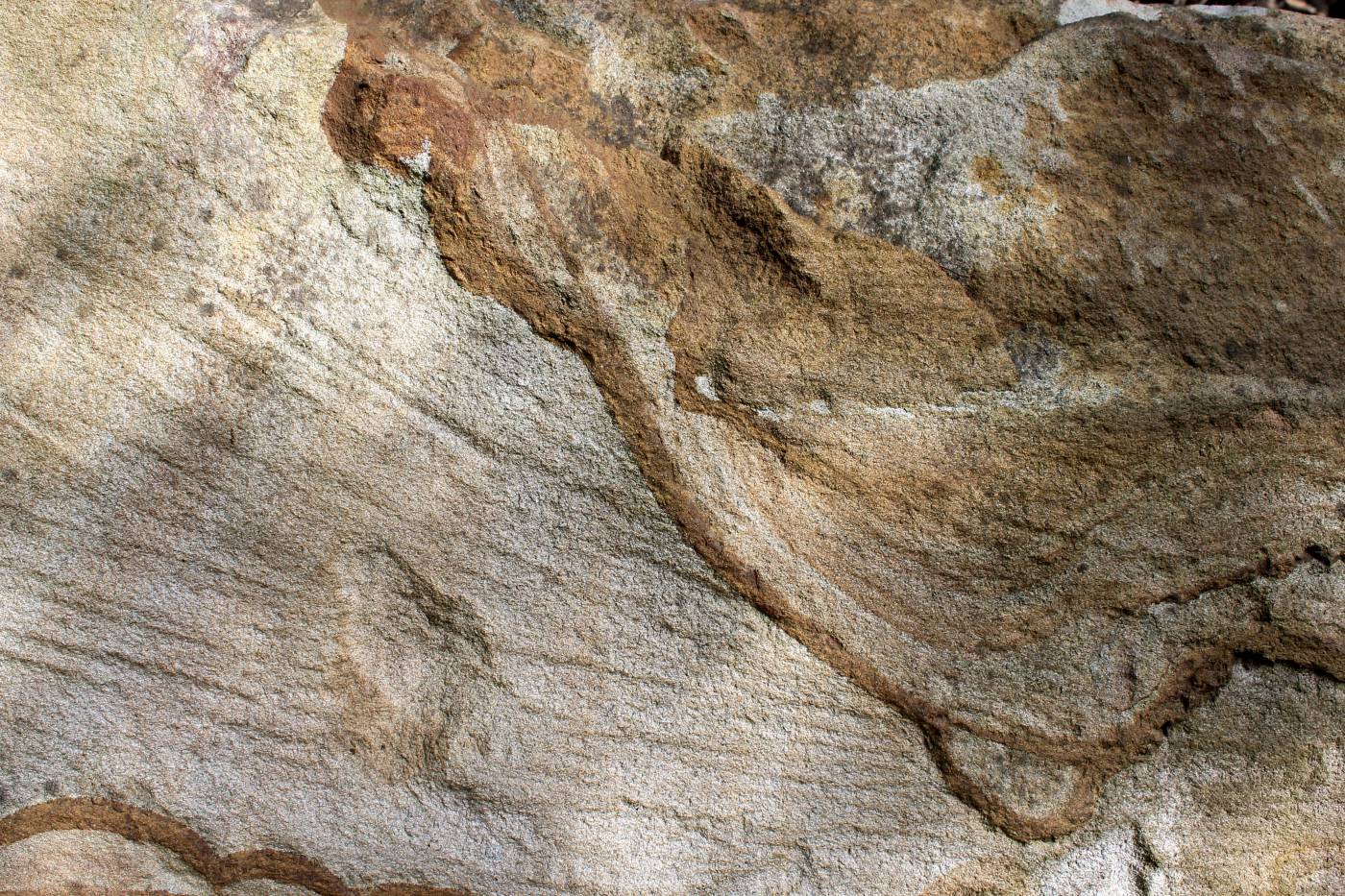  brown and gray rock formation  picture