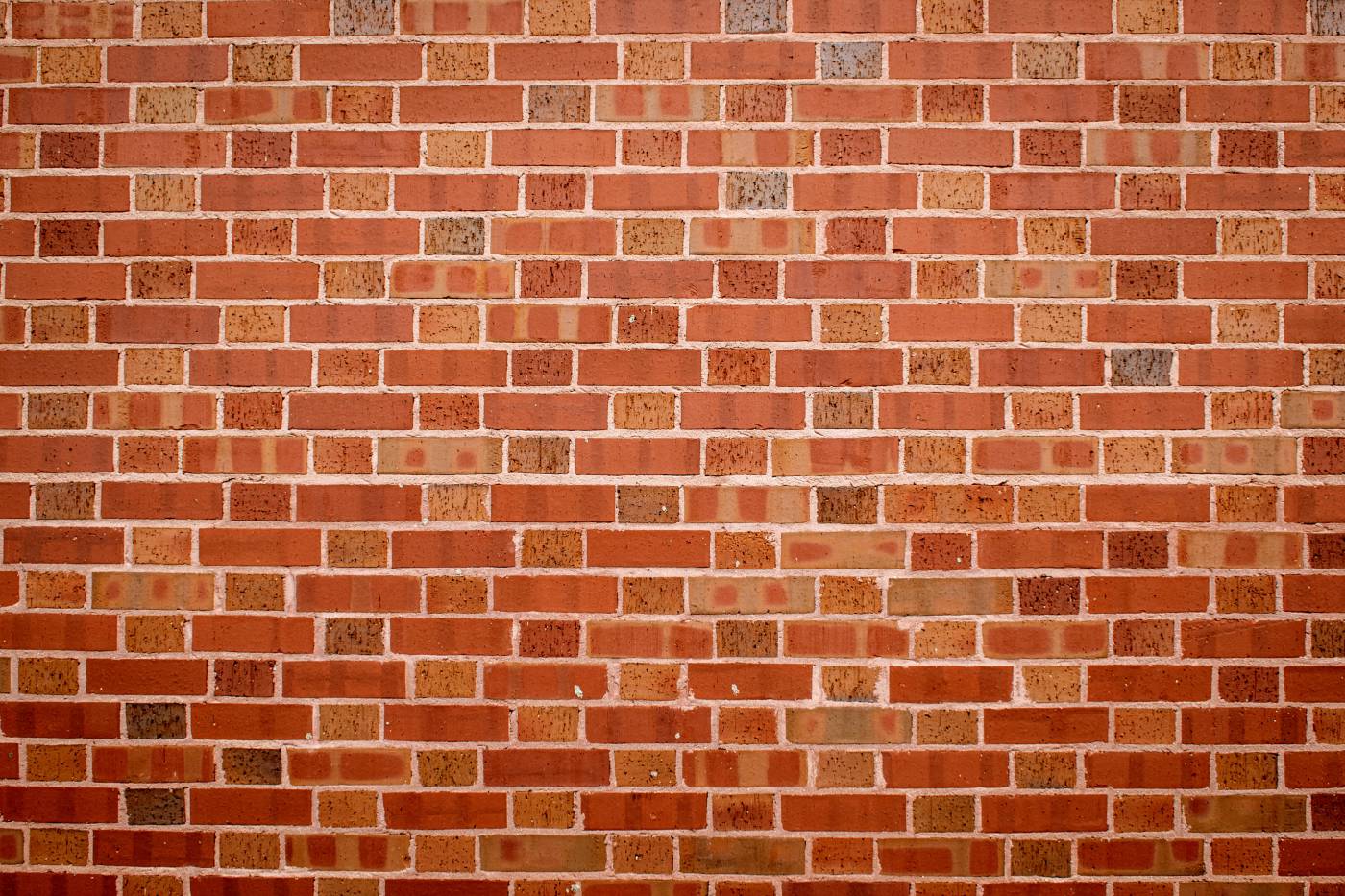  brown and white brick wall  picture