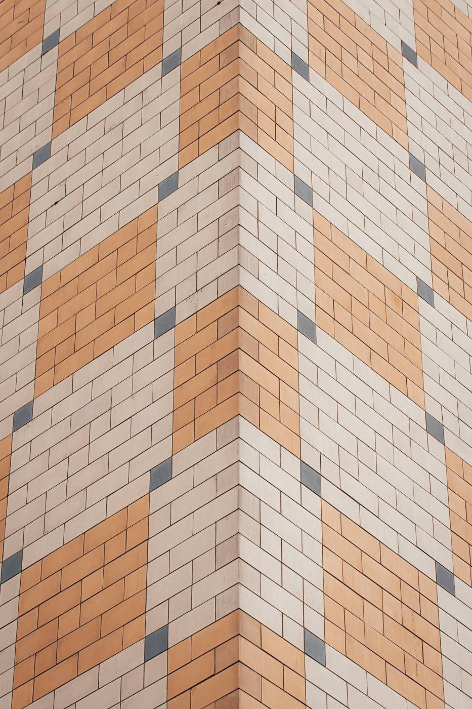  brown and white concrete building  picture