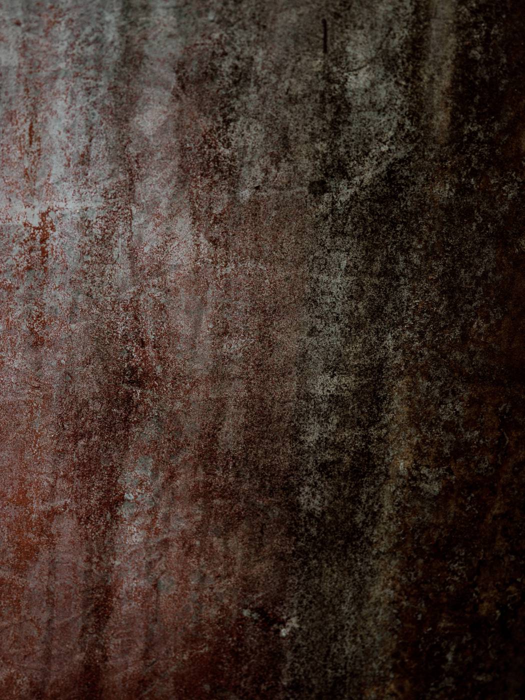  brown and white floral textile  picture