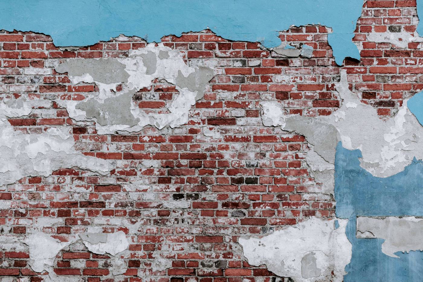  brown brick wall  picture