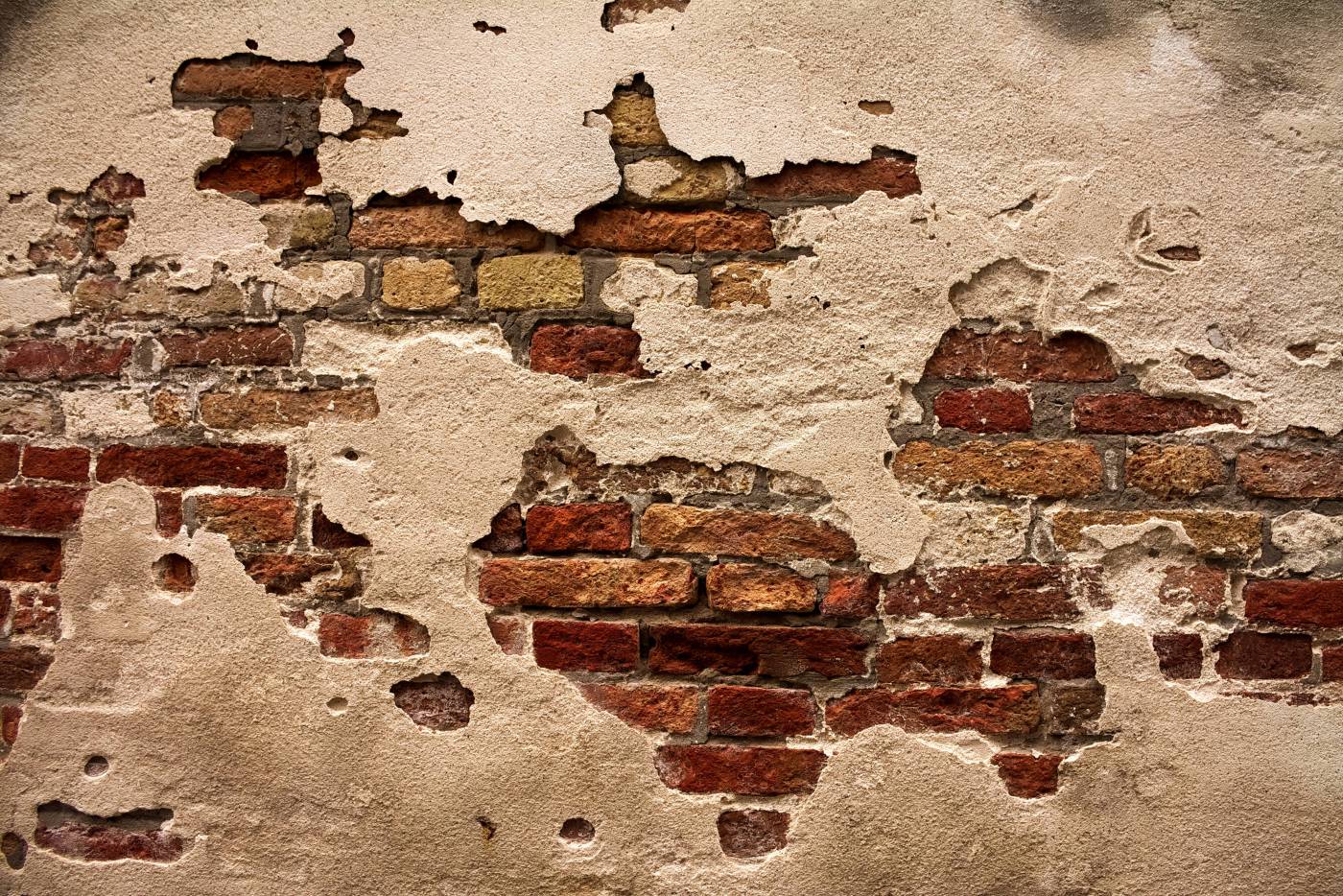  brown brick wall closeup photography  picture