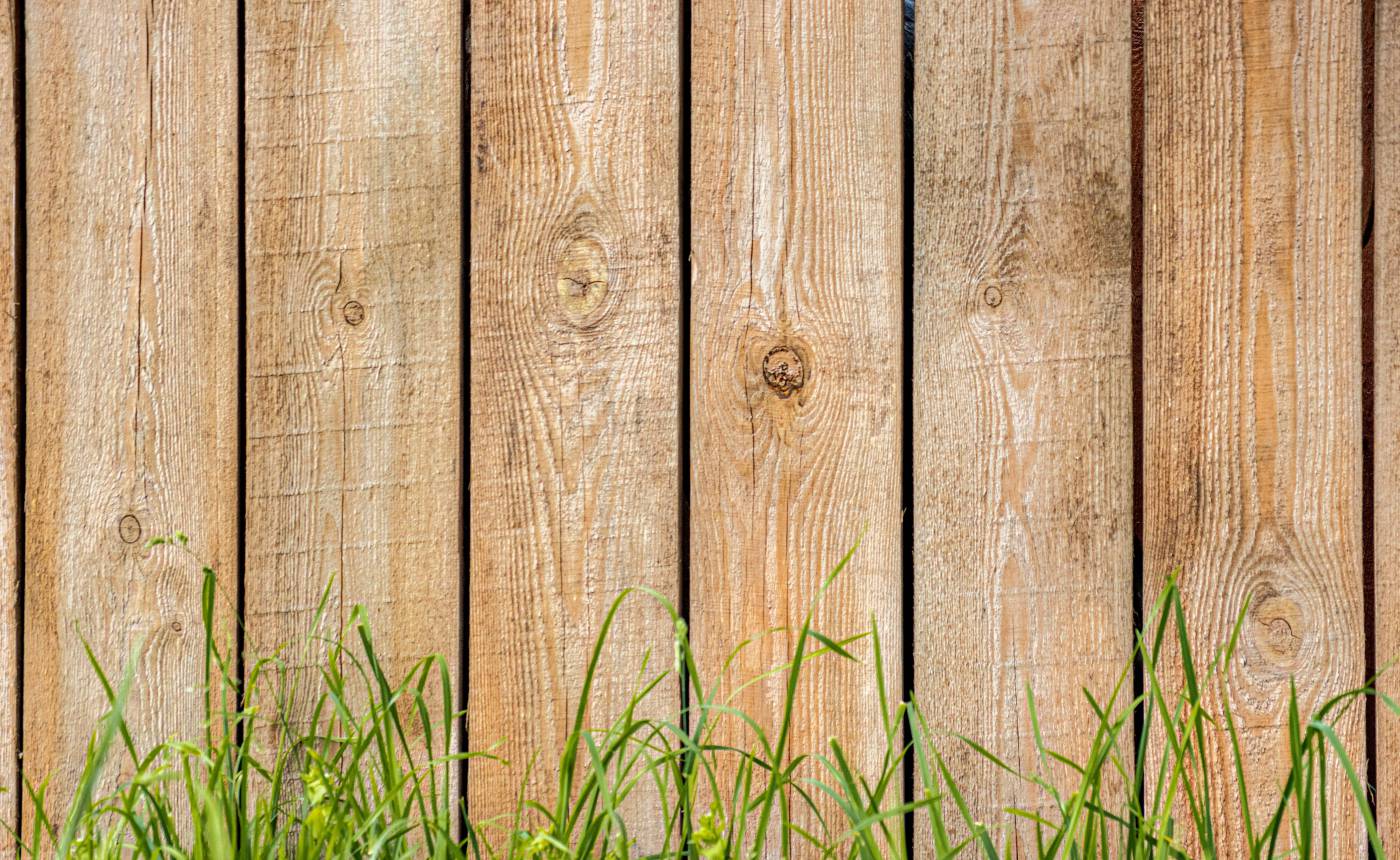 brown green grass beside brown wooden fence grass picture