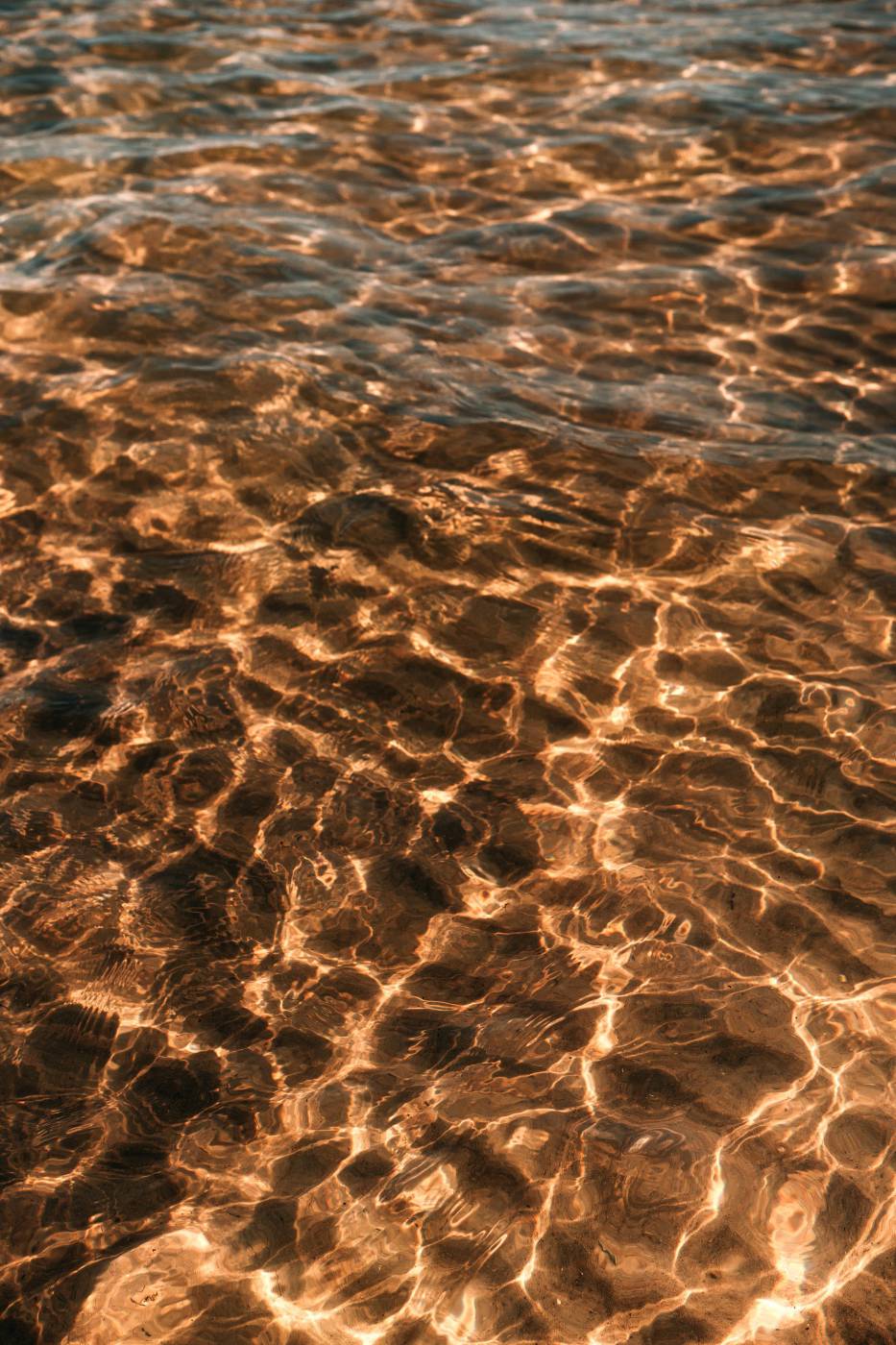  brown sand on beach during daytime  picture