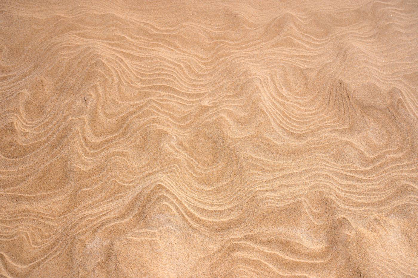 brown white textile with black hair  picture