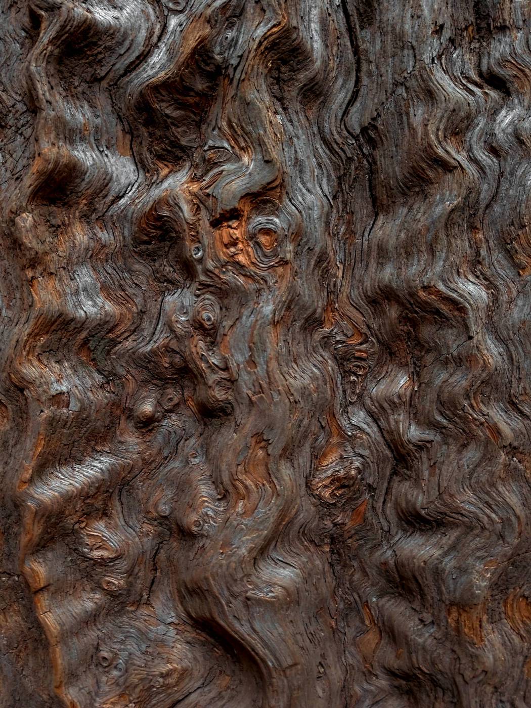  close-up photography of brown wooden wall  picture
