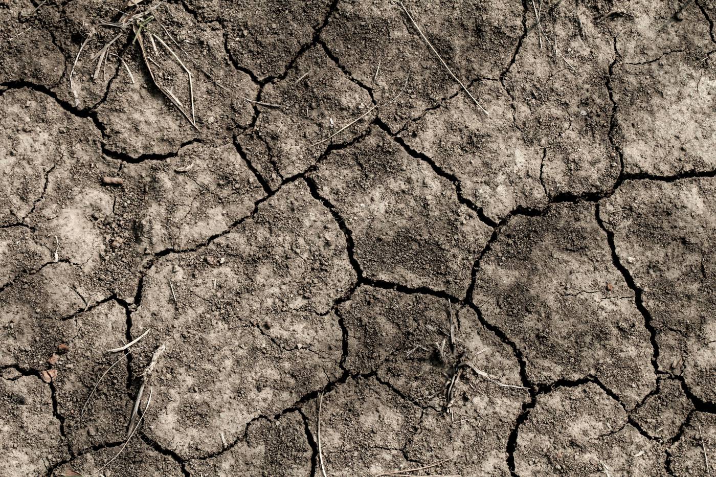  closeup of dried soil  picture