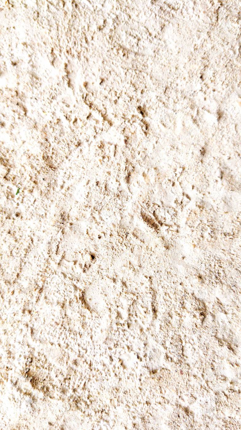 concrete white and brown concrete floor abstract picture