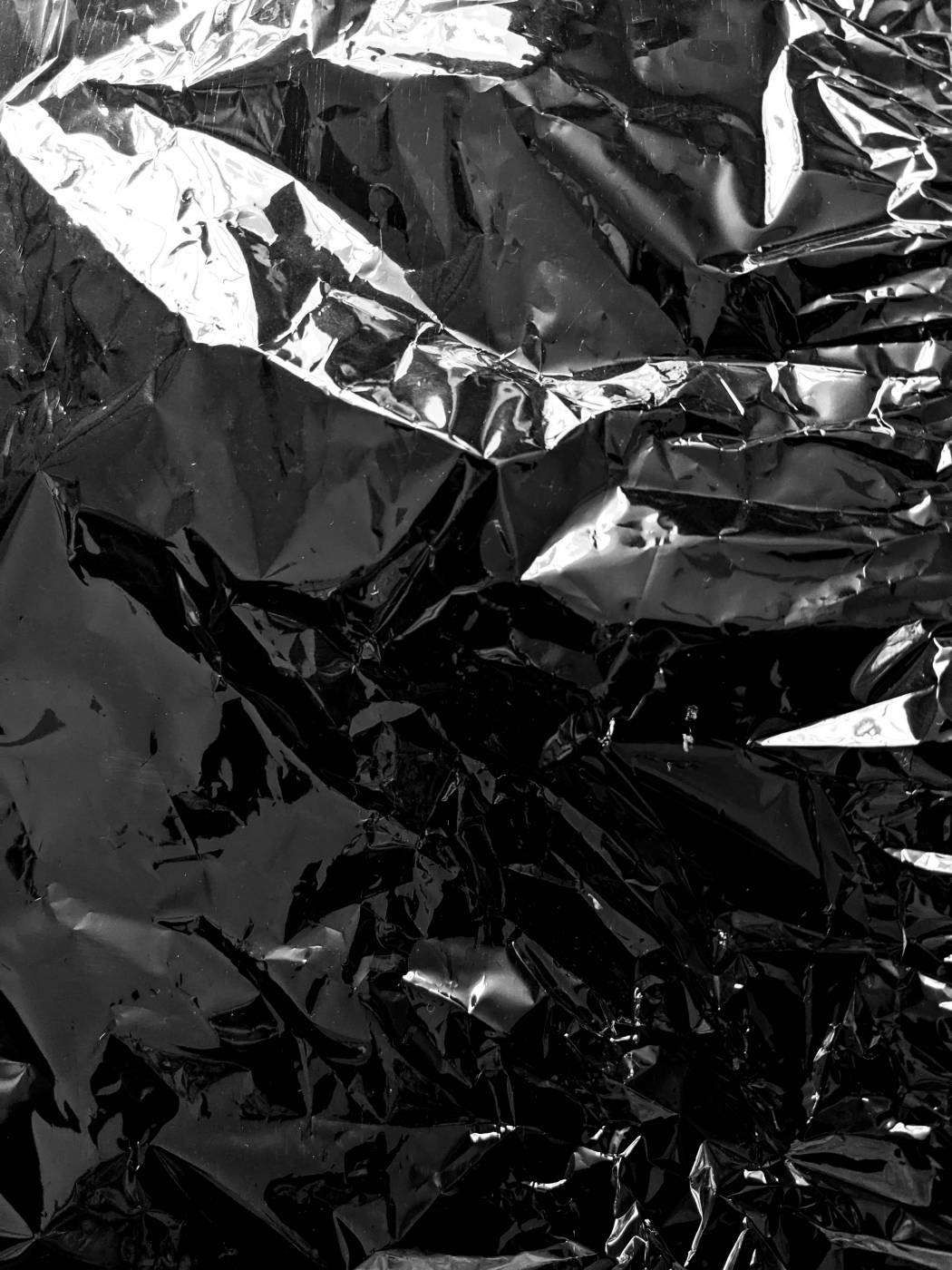 grayscale photo of leaves on ground  picture