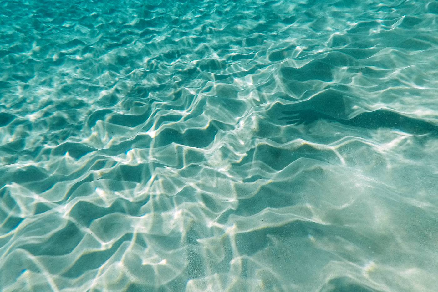  green body of water during daytime  picture