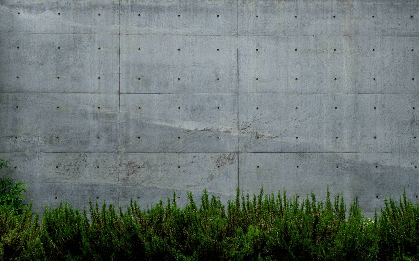  green grass beside white wall  picture