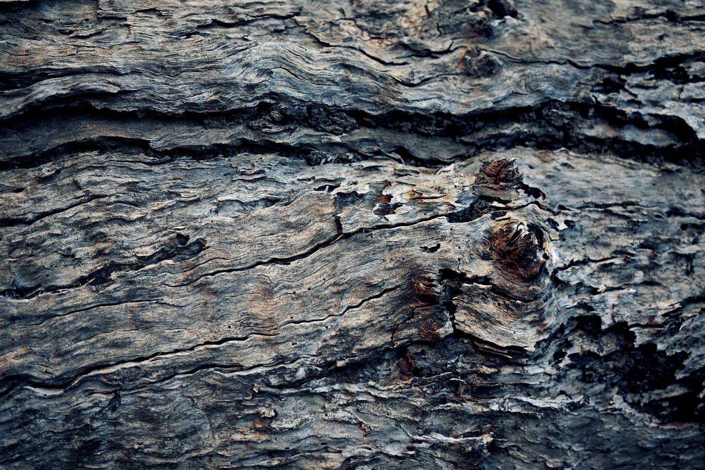 grey brown wooden surface pattern picture