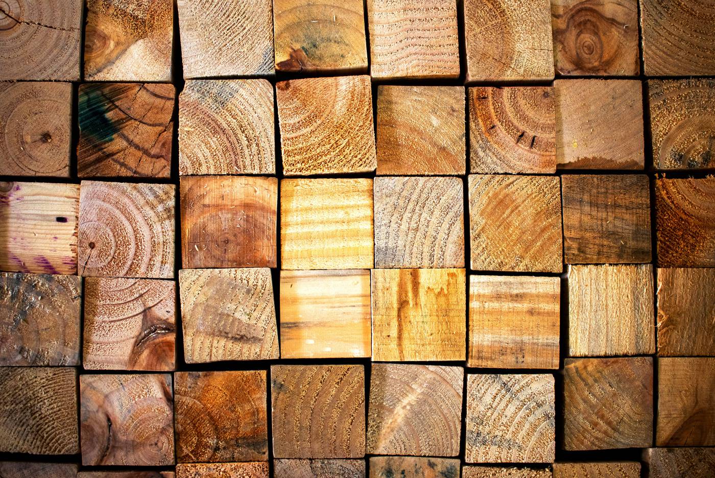 india brown and gray brick wall jaipur picture