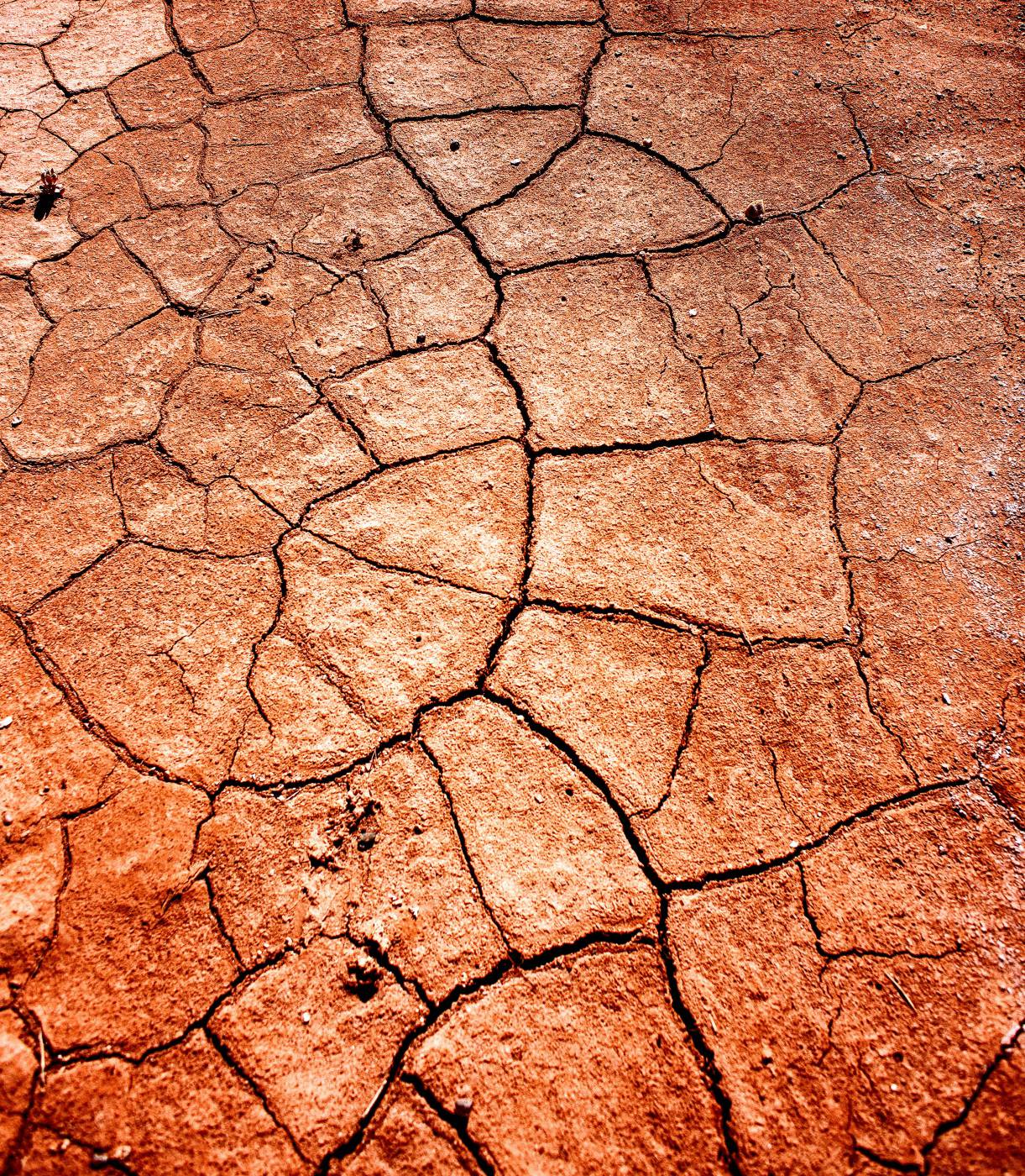 pariah canyon dried land  picture