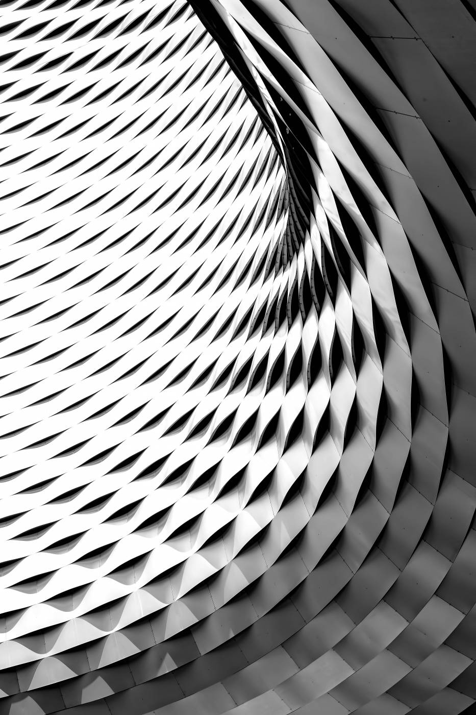 pattern A curved facade covered in white latticework architecture picture