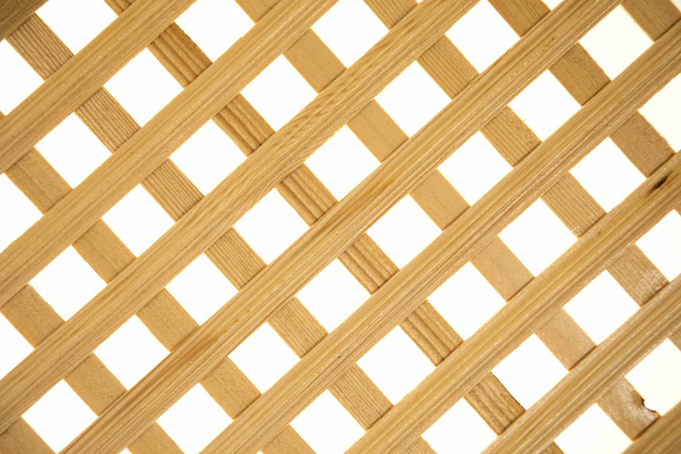 pattern brown and white checkered textile turkey picture