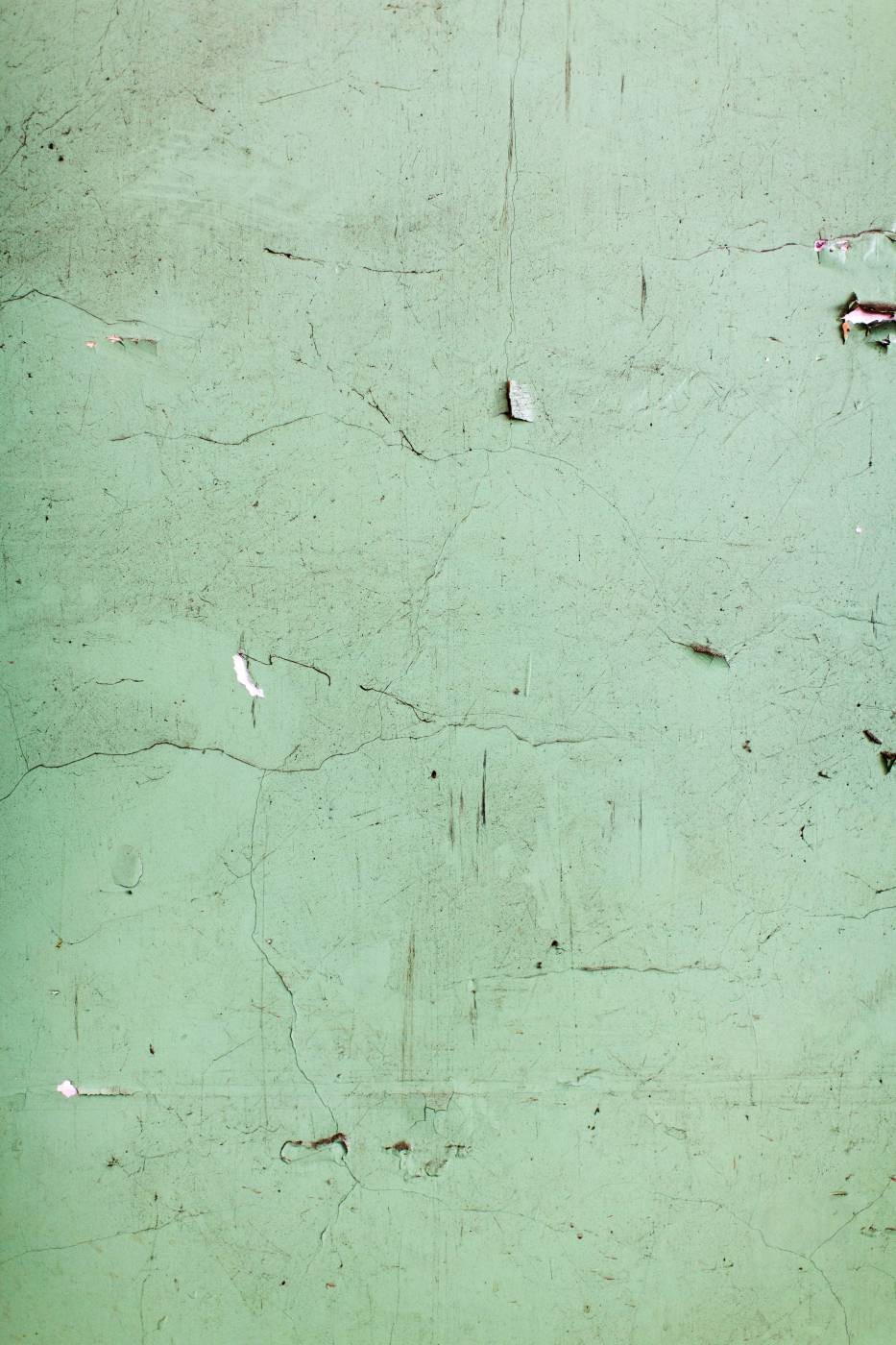 saint heliers street white and brown wall paint  picture