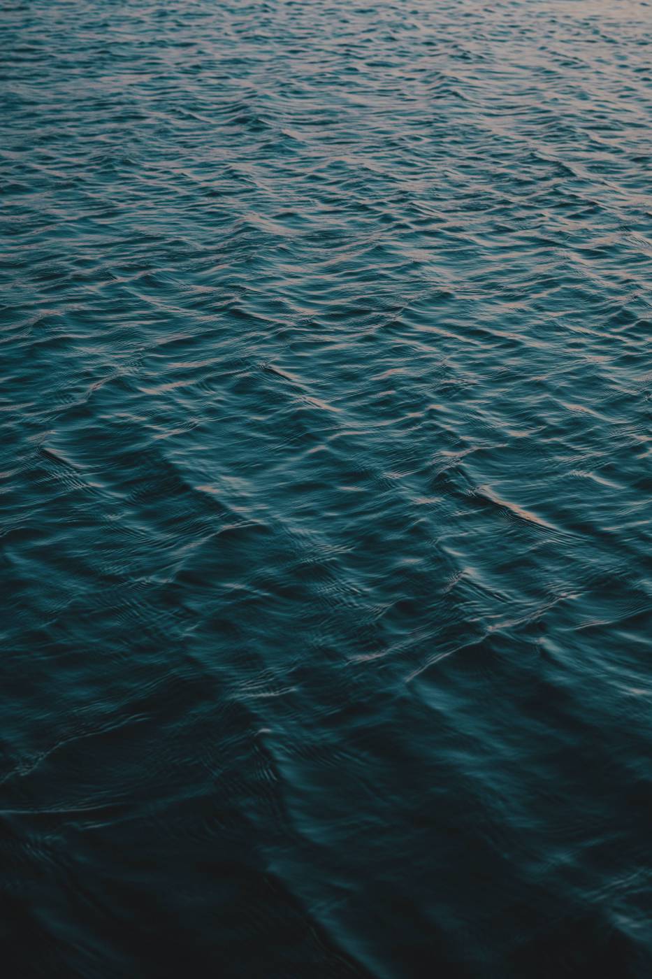 sea body of water ocean picture