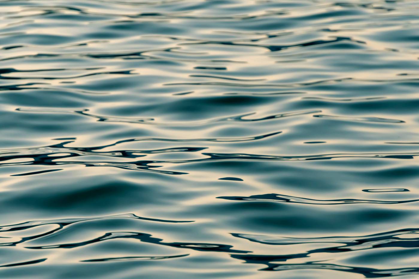 water calm body of water morcote picture