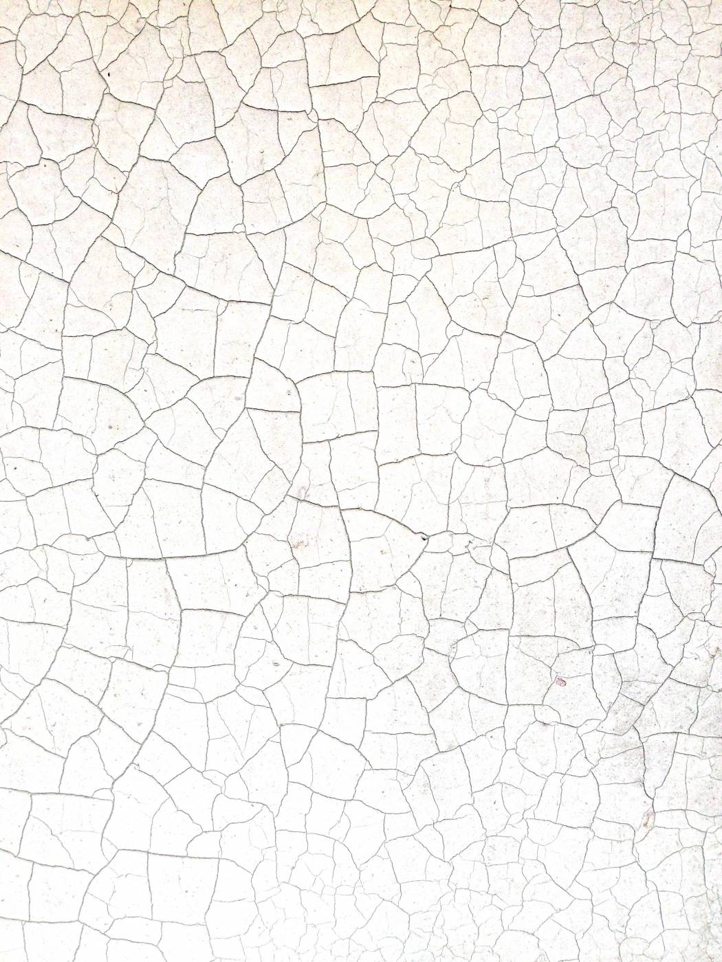 white  pattern picture