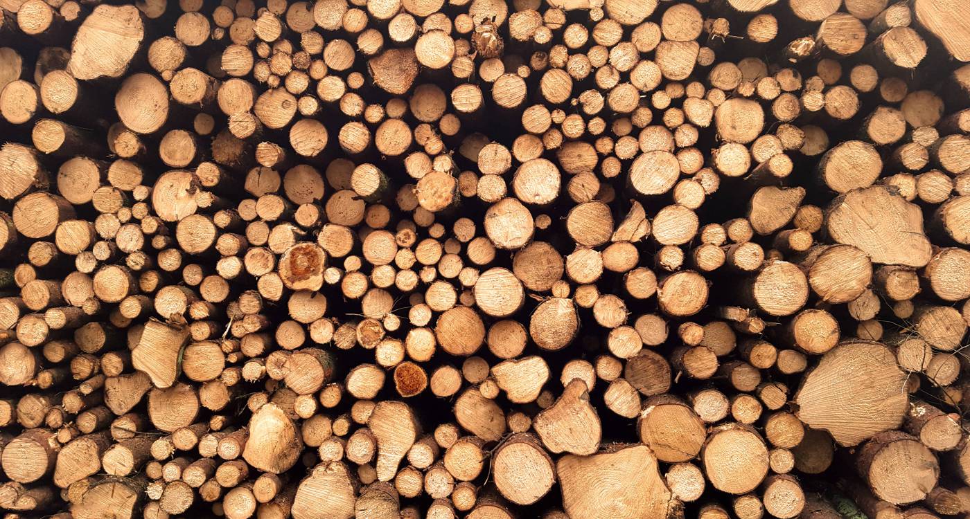 wood brown log lot at daytime log picture