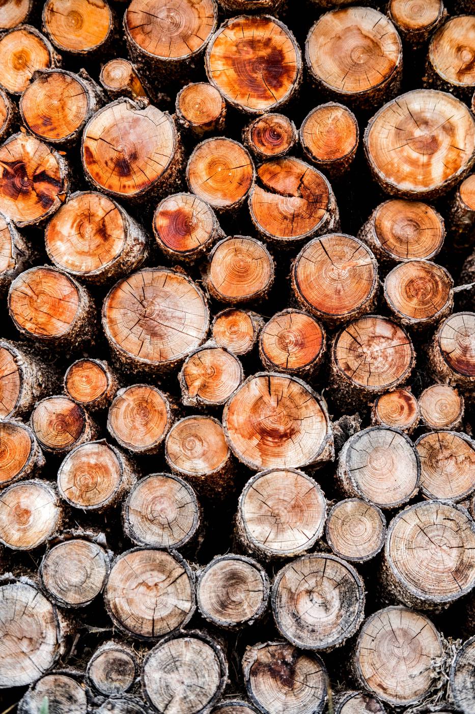 wood pile of of brown wood logs switzerland picture