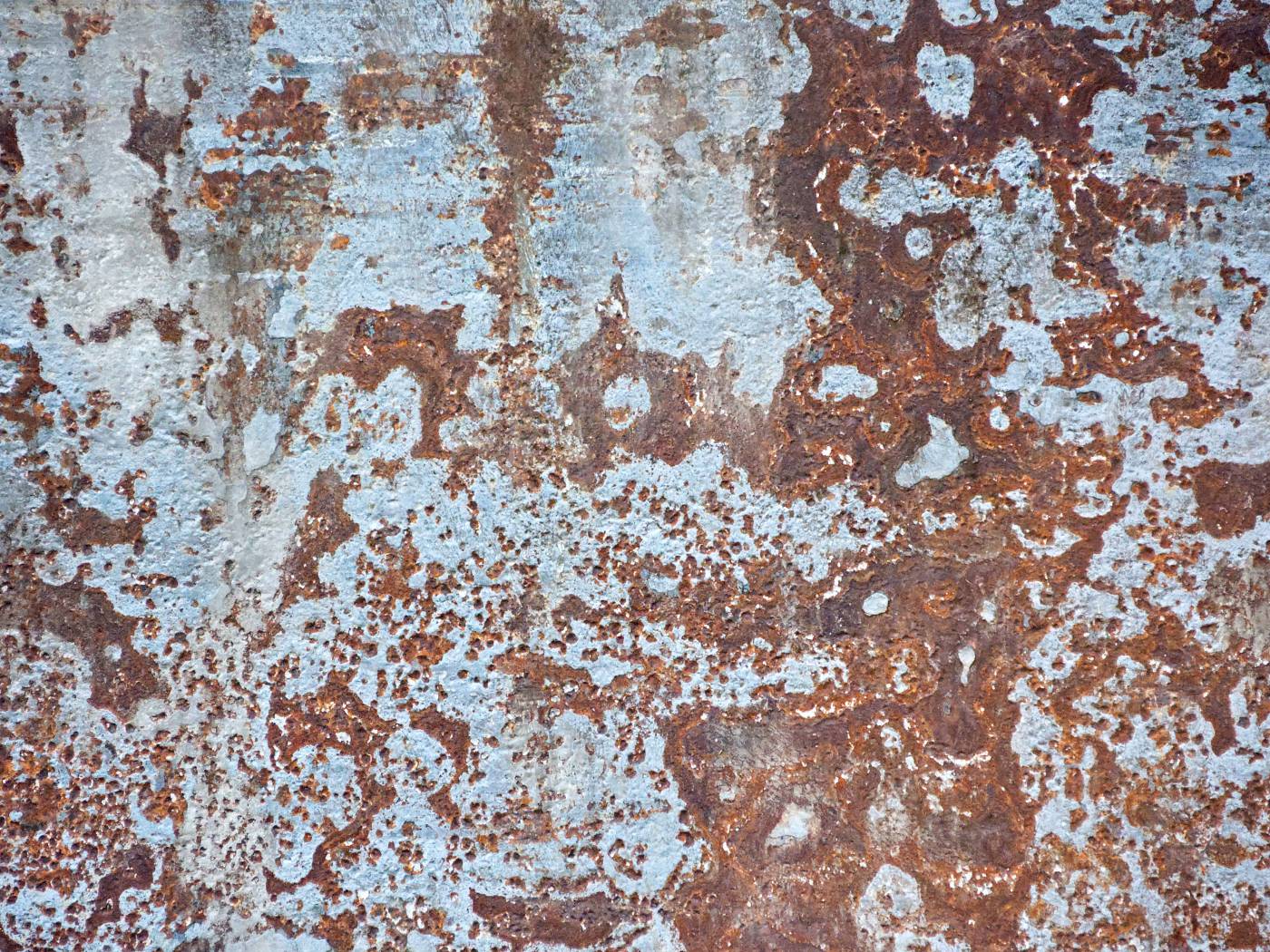  brown and white abstract painting  picture