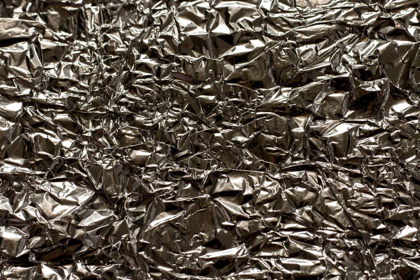  brown dried leaves on ground  picture