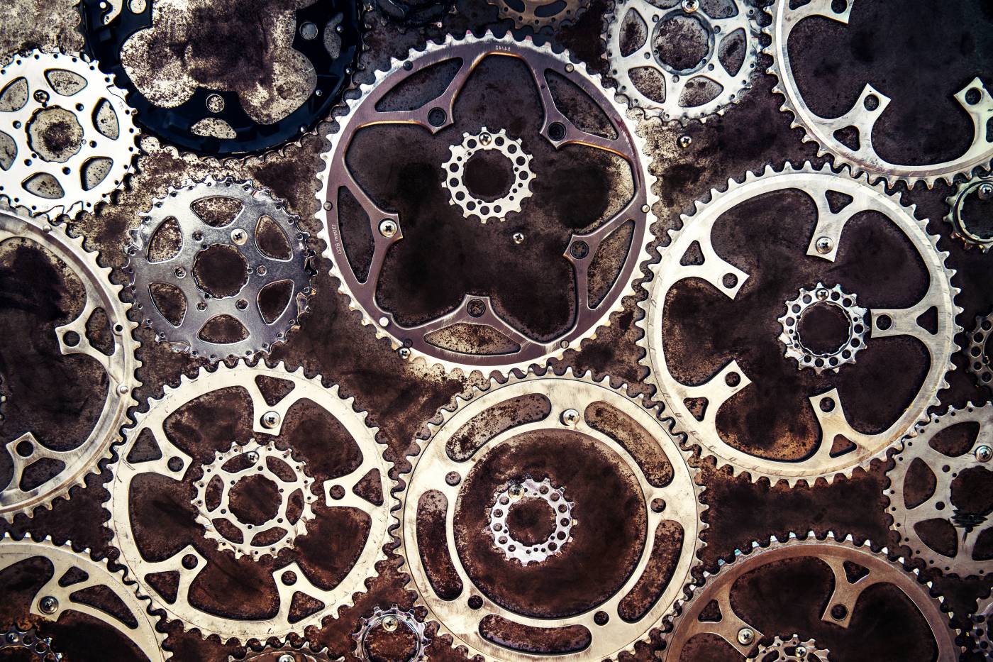 pattern cogs and gears peloton cellars picture