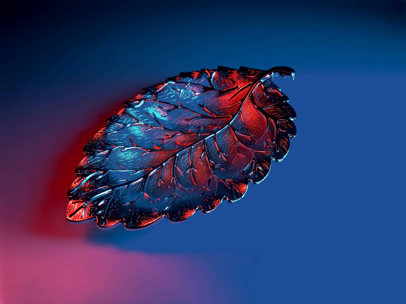  red and blue flower in close up photography  picture