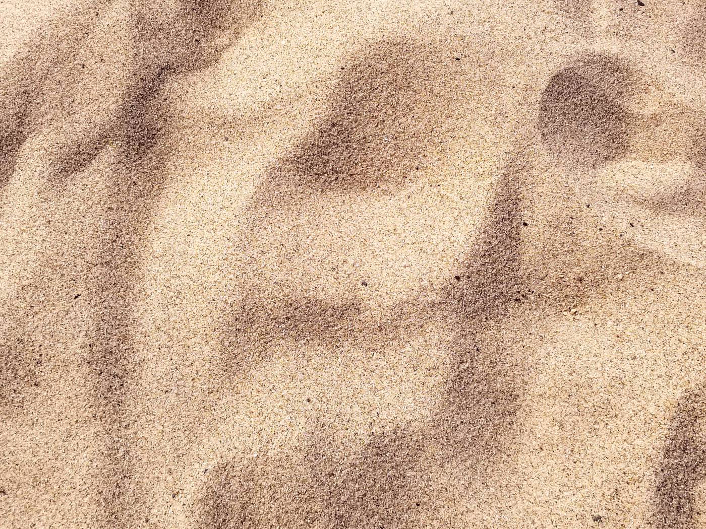 focus photo of brown sand  picture