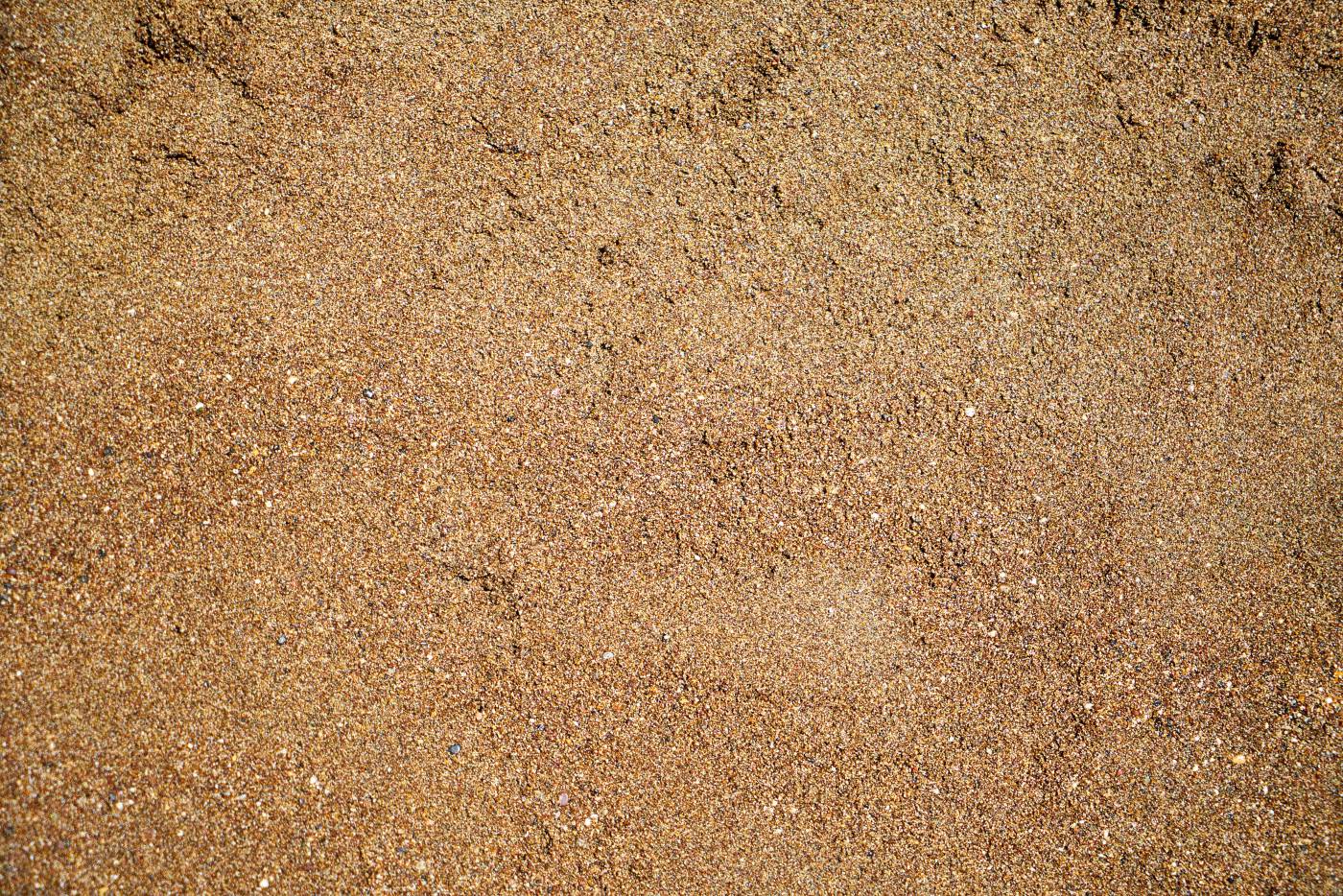  person in black shoes standing on brown sand  picture