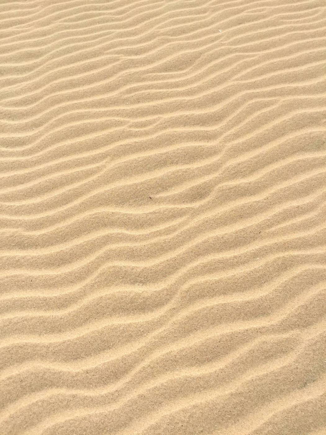 texture brown sands  picture