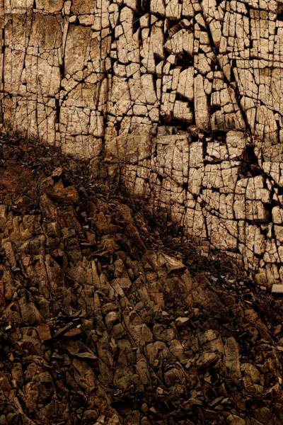 stone texture a sheep is standing in the dirt near a rock wall pattern