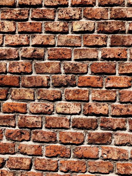 brown brick wall on daylight 