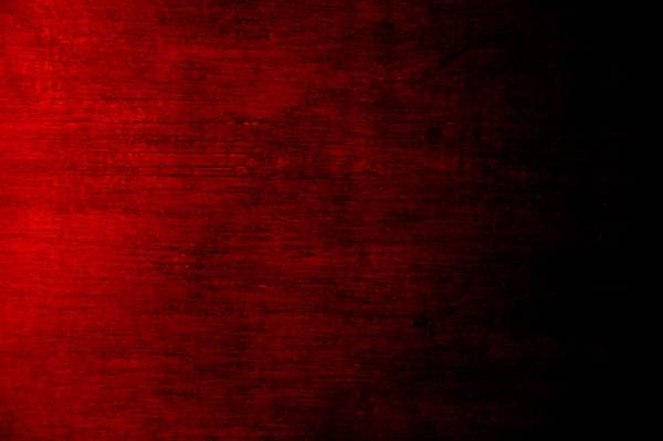 red red and black floral textile 